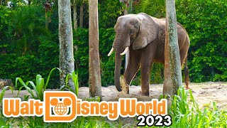 Kilimanjaro Safaris 2023  Disneys Animal Kingdom Rides 4K POV [upl. by Eilrebmik]