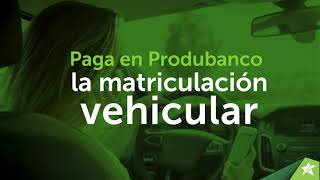 Paga en Produbanco la matriculación vehicular [upl. by Tseng]