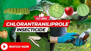 Unlocking the Power of Chlorantraniliprole Insecticide A Comprehensive Guide Best insecticide [upl. by Ahgiela]