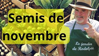 Les 10 meilleurs légumes à semer en novembre même par temps froid [upl. by Ricketts]