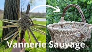 Comment faire la structure d’un panier sur arceau  Vannerie sauvage 3 [upl. by Aldous838]