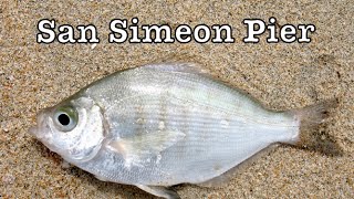 San Simeon Pier Fishing [upl. by Adnarem]