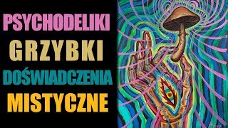 Psychodeliki grzybki i doświadczenia mistyczne  Jordan B Peterson [upl. by Trainor480]