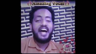 Sertsebirhan Tadesse Deki Halal Meret Vocal [upl. by Nika]