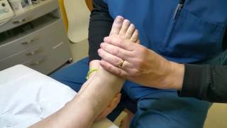 Mobilising MidTarsal Joint of foot [upl. by Kirimia]