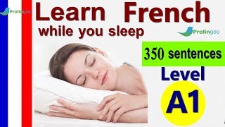 Learn French While Sleeping  Learn ALL Basic Phrases level A1 [upl. by Wynnie354]