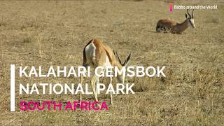 Kalahari Gemsbok National Park  South Africa [upl. by Enhpad]