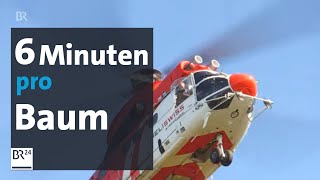 Ismaning Baumfällen mit dem Hubschrauber  Abendschau  BR24 [upl. by Ocimad321]