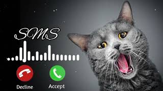 Abe Yaar Ringtones  Abe Yaar message ringtones 2023 [upl. by Anneh]