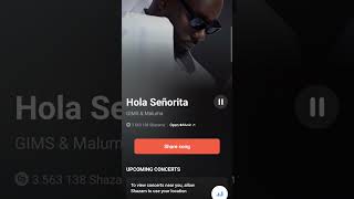 Hola Senorita music [upl. by Orravan]