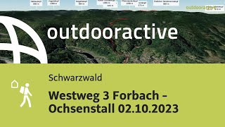 Fernwanderweg im Schwarzwald Westweg 3 Forbach  Ochsenstall 02102023 [upl. by Eylatan]