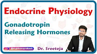 Gonadotropin Releasing Hormones  Endocrine physiology USMLE Step 1 [upl. by Nylekoorb]