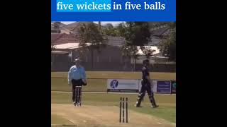 Epic five wicket in five balls [upl. by Mano]