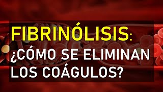 🔴 FIBRINÓLISIS ¿CÓMO SE ELIMINAN LOS COÁGULOS [upl. by Sidoon]