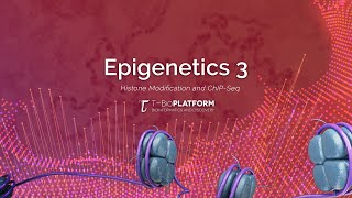 Epigenetics3 Histone Modification and ChIPseq [upl. by Anelav]