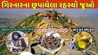 ગિરનાર પર્વત અને તેમાં છુપાયેલા રહસ્યો Girnar parvat ke bare me jankari Girnar parvat junagadh [upl. by Meredi]