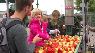 myREGIOTV  AKTUELL Äpfel  Apfel  Apfelsaft [upl. by Koval]