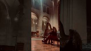 Warming up at Romsey abbey harp christmas [upl. by Otrebilif]