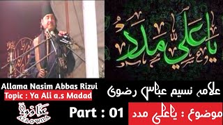 YA ALI MADAD by Allama Naseem Abbas Rizvi 16 [upl. by Liemaj]