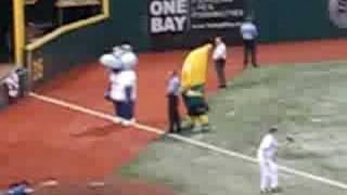 Its Peanut Butter Jelly Time at the Tampa Bay Rays Game [upl. by Amari360]