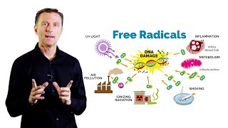 What Is Oxidation – DrBerg on Free Radicals and Antioxidants [upl. by Nareht945]