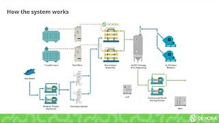 Seawater Electrochlorination Operational Principle [upl. by Eylhsa]