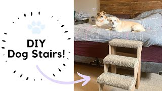 How To Build Dog Stairs  Dog Furniture Stairs [upl. by Zysk]