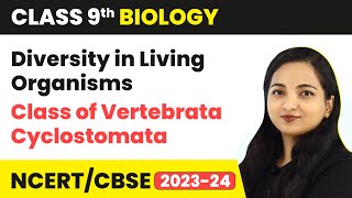 Class of Vertebrata Cyclostomata  Diversity in Living Organisms  Class 9 Biology  202324 [upl. by Sewoll]