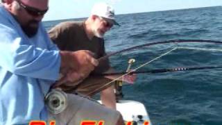 Fly Fishing for Amberjack with Reel Adventure Charters [upl. by Sarazen]