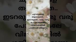 vijanathayil music lyrics song youtubeshorts youtubefeeds shorts [upl. by Lyndy]