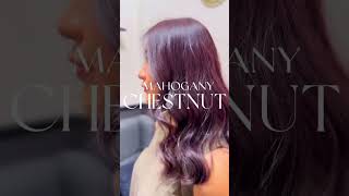 Mahogany Chestnut✨mokasalonsemarang haircolor warnarambut haircut hairstyle salonsemarang [upl. by Acirred]