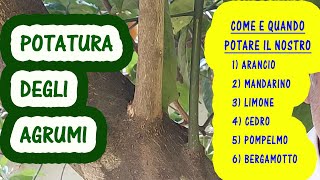 Potatura degli agrumi come e quando potare arancio limone mandarino cedro pompelmo [upl. by Okimuy486]