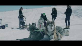 Dog sled ride  2016 edit [upl. by Kerat]