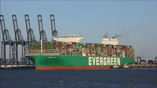 Delayed departure of the Ever Alp from Felixstowe Berth 9 Port swing off the berth 10th January 2024 [upl. by Asiul2]