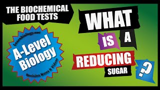 What is a reducing sugar  ALevel Biology [upl. by Nyletac945]