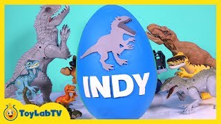 HUGE Jurassic World Play Doh Surprise Egg with Indominus Rex TRex Surprise Toys amp Dino Fossil Kit [upl. by Nylauqcaj83]