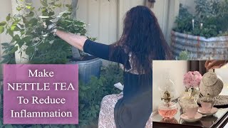 Make Stinging Nettle Tea  Healing Benefits amp Ritual  Anti Inflammatory Herbal Tea Recipe [upl. by Fital]