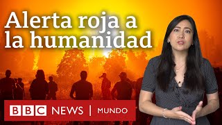 5 revelaciones del informe de la ONU sobre cambio climático y qué dice sobre América Latina [upl. by Ilsa]