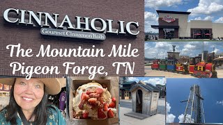 The Mountain Mile Pigeon Forge TN  Cinnaholic Strawberry Cheesecake Cinnamon Roll Shops amp Rides [upl. by Riabuz]