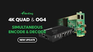 Simultaneous Encode and Decode with 4K QUAD and OG4 [upl. by Kcirdaed]