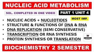 Nucleic acid metabolism  DNA  RNA  Transcription  Translation  Part 1 Unit 4  biochemistry [upl. by Navac]