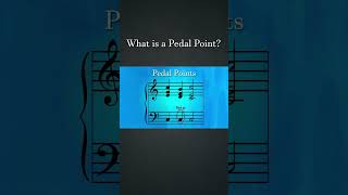 What is a Pedal Point  How Composers Use Series  The Soundtrack of History musictheory [upl. by Arres658]