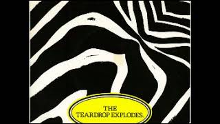 Reward The Teardrop Explodes [upl. by Sholem]