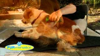 FURminator POS Video DE [upl. by Rozina]