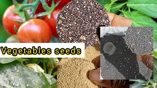 Price Of Different Vegetable Seeds In Africa [upl. by Cori]