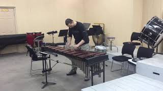 XYLOPHONE Orchestral Excerpts  The Extensive Collection [upl. by Wyler]