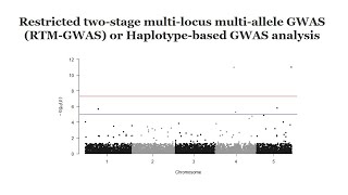 Haplotypebased GWAS analysis using rtmgwas software A quick GWAS tutorial [upl. by Mead]