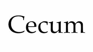 How to Pronounce Cecum [upl. by Abagail506]