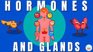 Endocrine System Glands and Hormones [upl. by Erbua313]