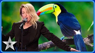 Geneviève Côté wows Judges with UNREAL animal impressions  Auditions  BGT 2024 [upl. by Dnomyaw]